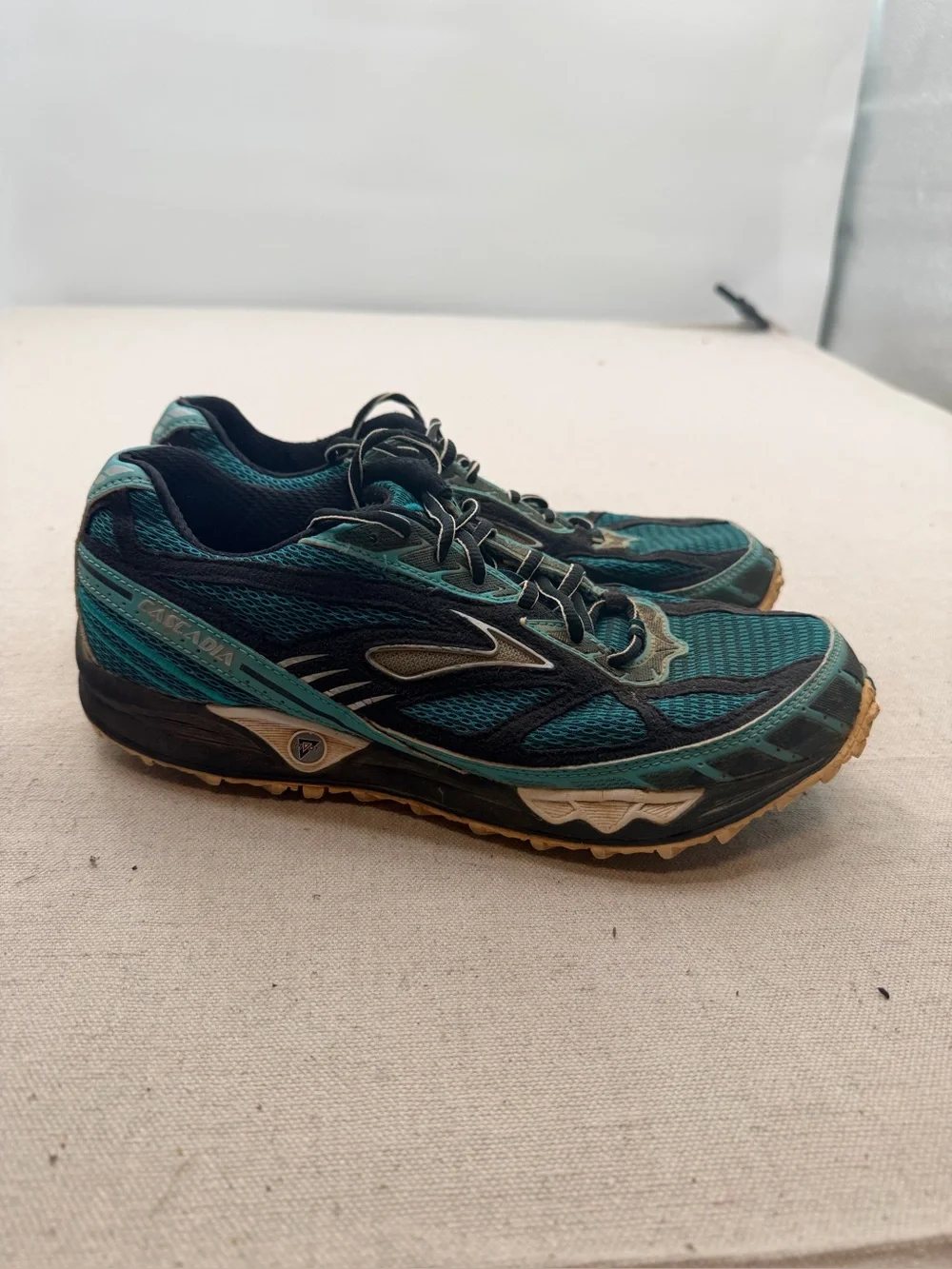 Brooks Cascadia 12